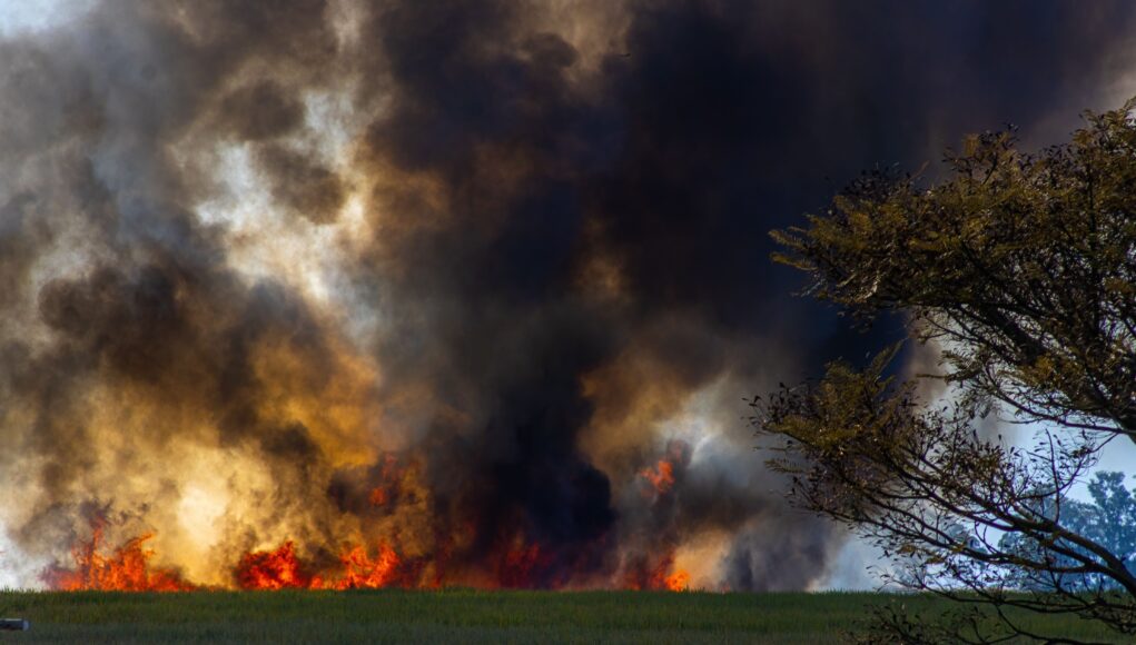 pexels-photo-12027859 A dramatic scene of a grassland wildfire with thick smoke and bright flames engulfing the field.