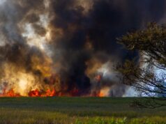 Alabama’s Dry Fall Is Narrowing the Margin for Outdoor Mistakes A dramatic scene of a grassland wildfire with thick smoke and bright flames engulfing the field.
