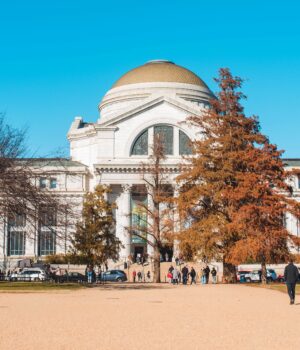 The Smithsonian Museum of Natural History in Washington DC under a clear blue sky.