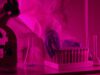 The Animal-Test Alternative Has Arrived. The Hard Part Is Proving It Works. Scientist in a lab coat handling test tubes under pink lighting, using a microscope.