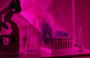 The Animal-Test Alternative Has Arrived. The Hard Part Is Proving It Works. Scientist in a lab coat handling test tubes under pink lighting, using a microscope.