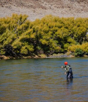 pexels-photo-37096317 A person fly fishing in a serene river surrounded by lush autumnal trees under clear blue skies.